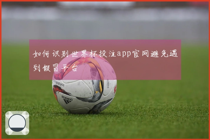 如何识别世界杯投注app官网避免遇到假冒平台