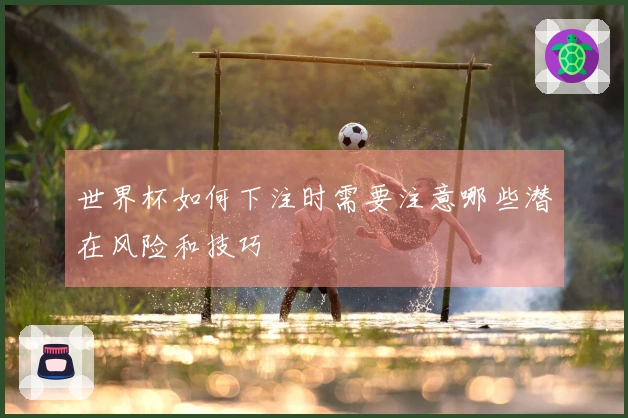 世界杯如何下注时需要注意哪些潜在风险和技巧