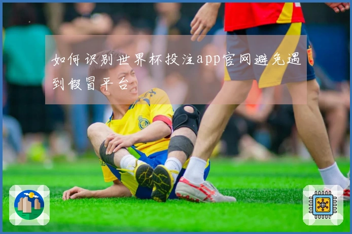 如何识别世界杯投注app官网避免遇到假冒平台